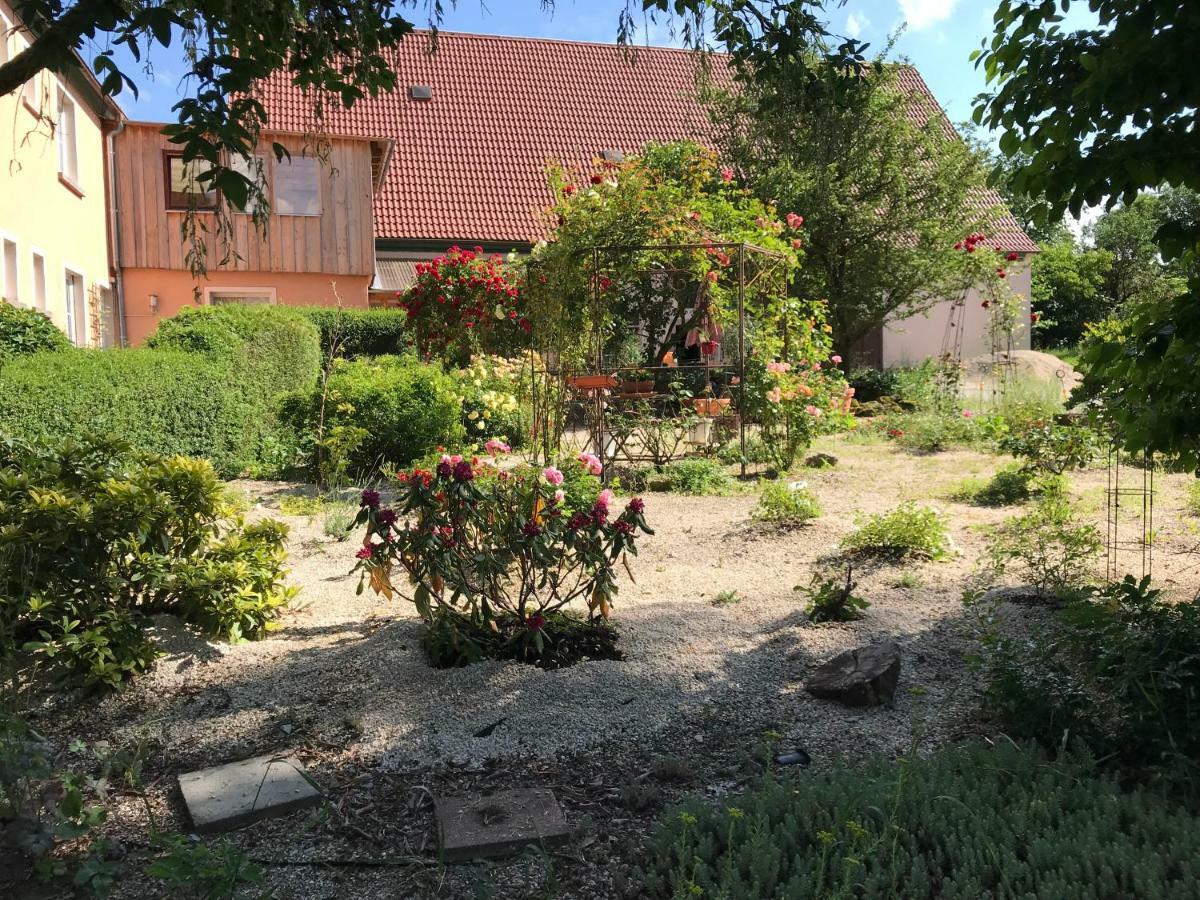 Appartment Ivonete Wettringen  エクステリア 写真